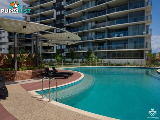 ID:21144772 11 Beesley Street West End QLD 4101