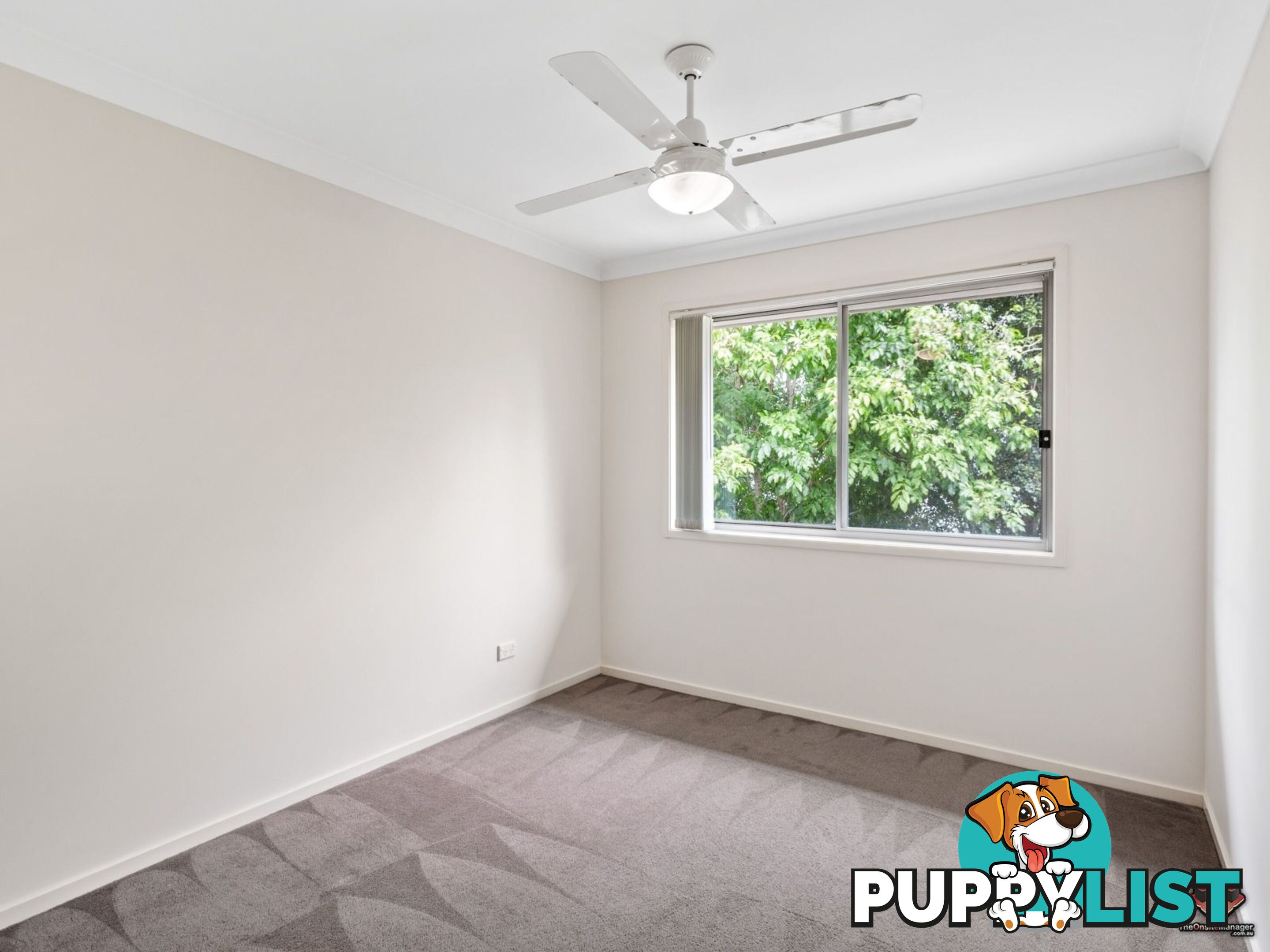 ID:3897565/21 Emma Street Bracken Ridge QLD 4017