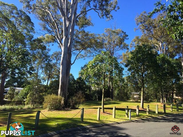 ID:3897565/21 Emma Street Bracken Ridge QLD 4017