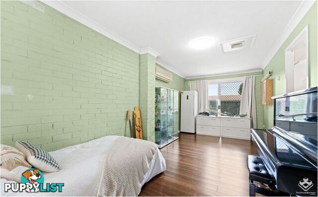 48 Sweetgum Street Hillcrest QLD 4118