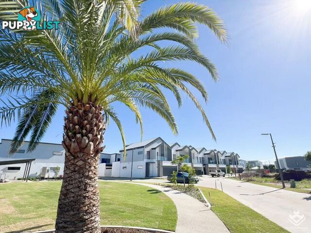 ID:21149202 2 Lyra Avenue Hope Island QLD 4212