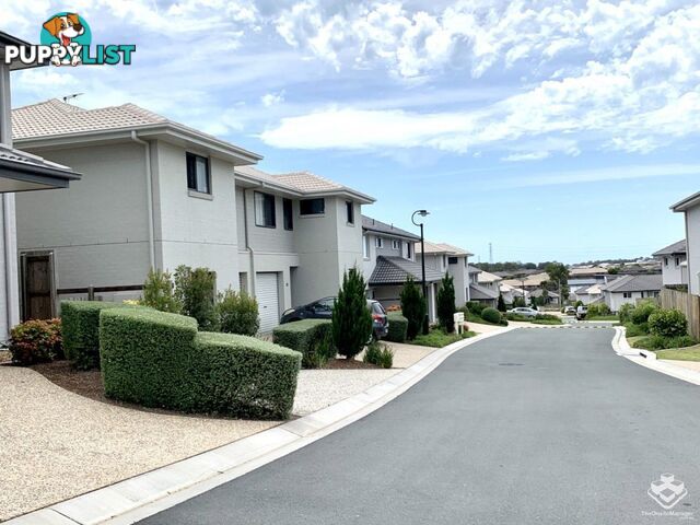 53/20 Stewart Road Griffin QLD 4503