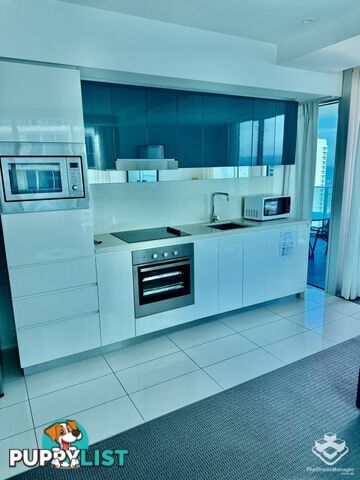 ID:21154630 3113 Orchid Avenue Surfers Paradise QLD 4217