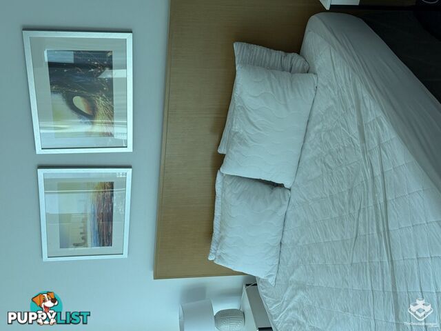 ID:21154630 3113 Orchid Avenue Surfers Paradise QLD 4217