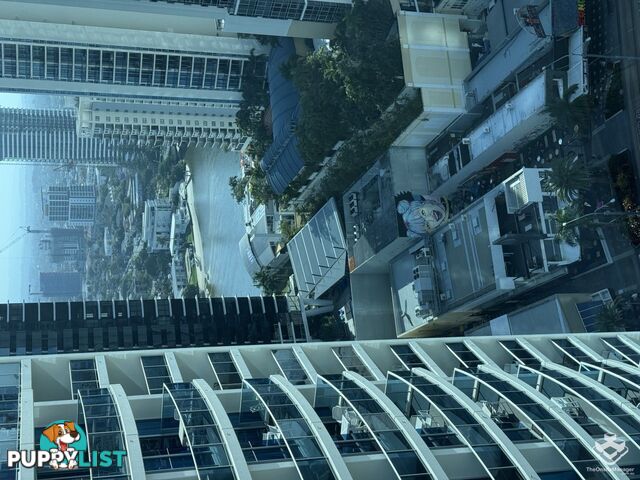 ID:21154630 3113 Orchid Avenue Surfers Paradise QLD 4217