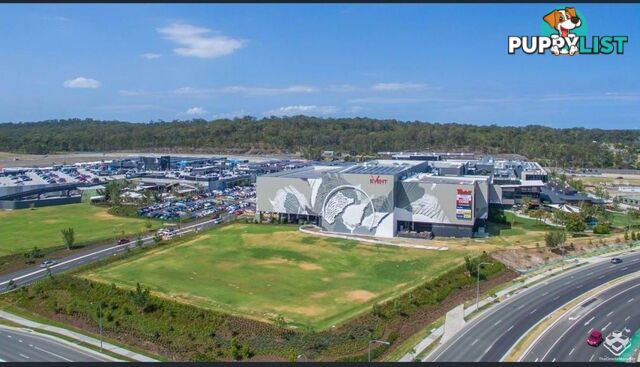 8/15 Fortune Street Coomera QLD 4209