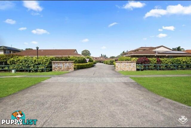 8/15 Fortune Street Coomera QLD 4209