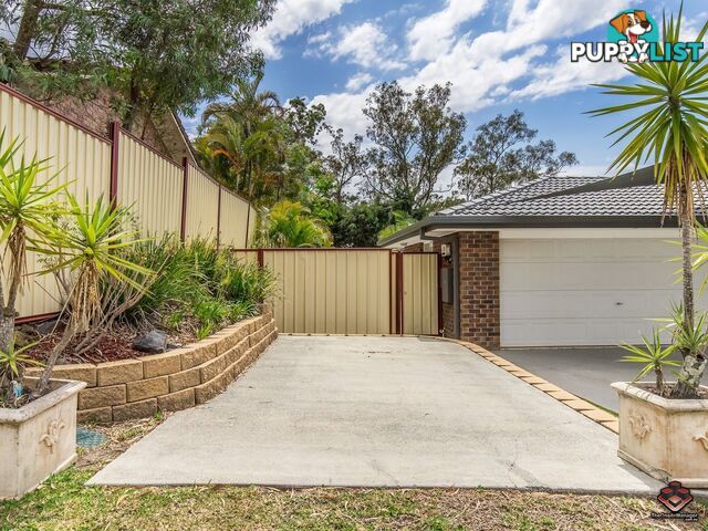 19 Winslow Court Oxenford QLD 4210