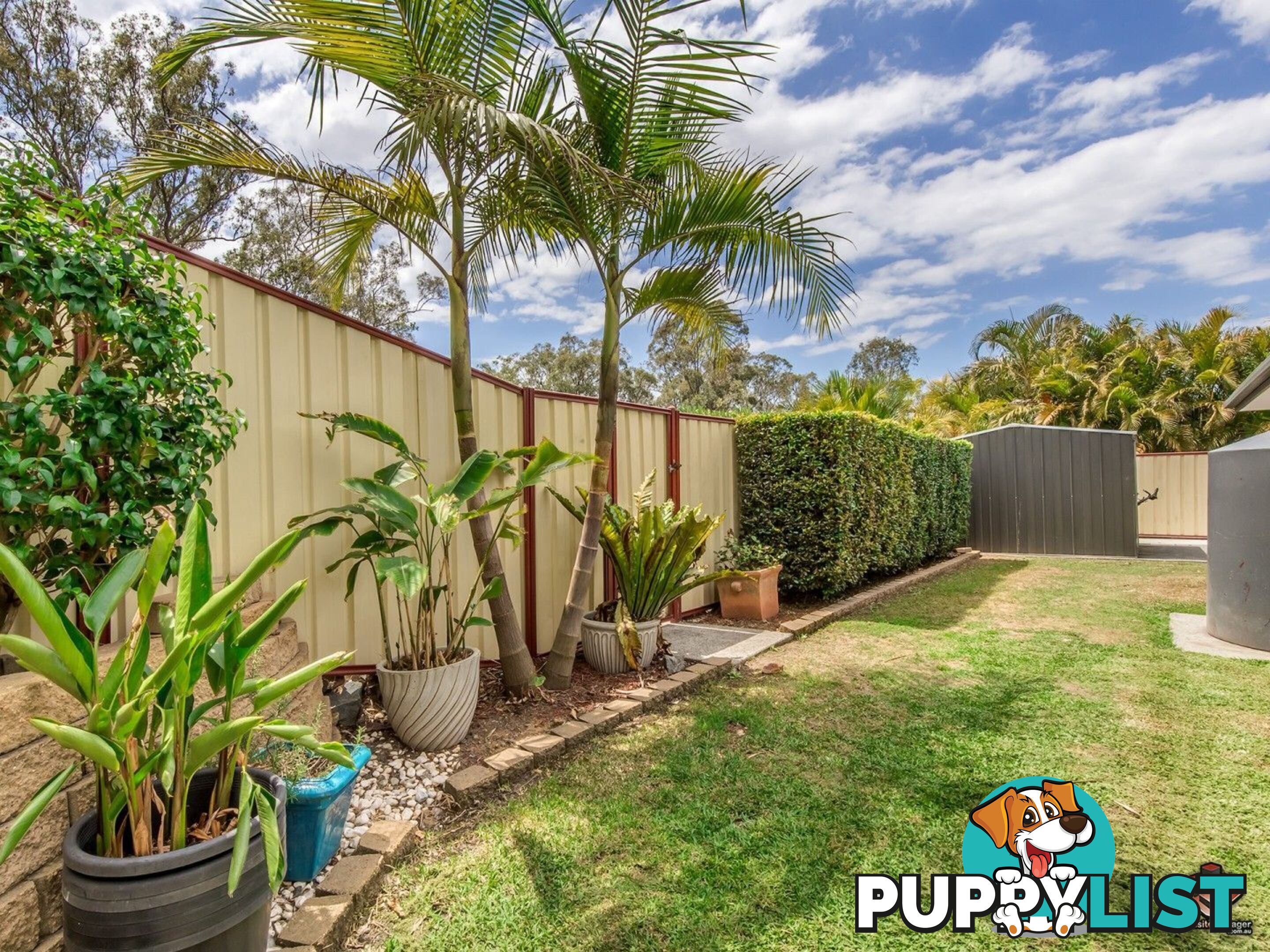 19 Winslow Court Oxenford QLD 4210