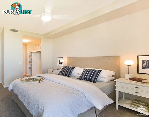 ID:21158845 52 Crosby Road Albion QLD 4010
