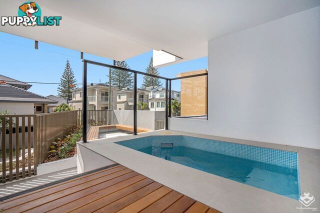 ID:21156948 60 Jefferson Lane Palm Beach QLD 4221