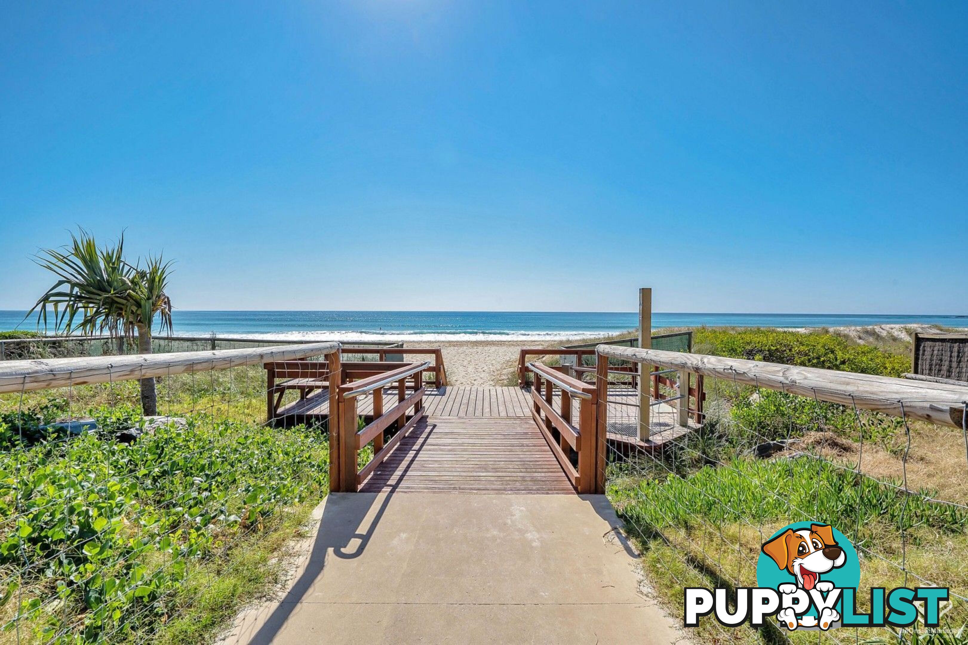 ID:21156948 60 Jefferson Lane Palm Beach QLD 4221
