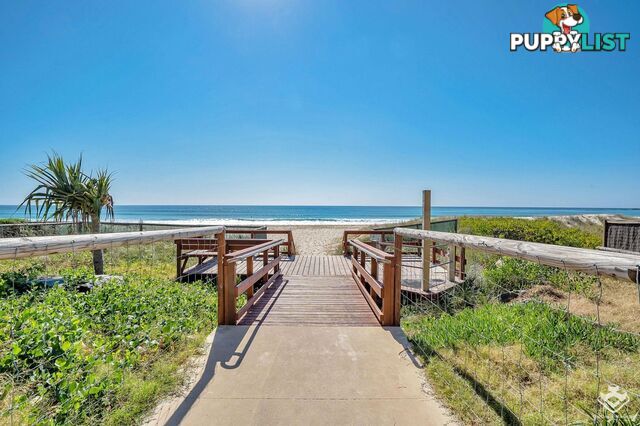 ID:21156948 60 Jefferson Lane Palm Beach QLD 4221