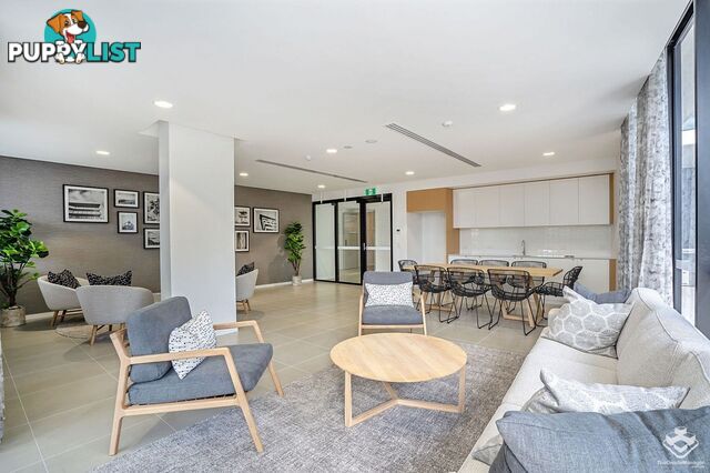 ID:21156948 60 Jefferson Lane Palm Beach QLD 4221
