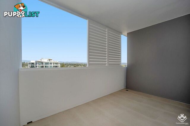 ID:21156948 60 Jefferson Lane Palm Beach QLD 4221