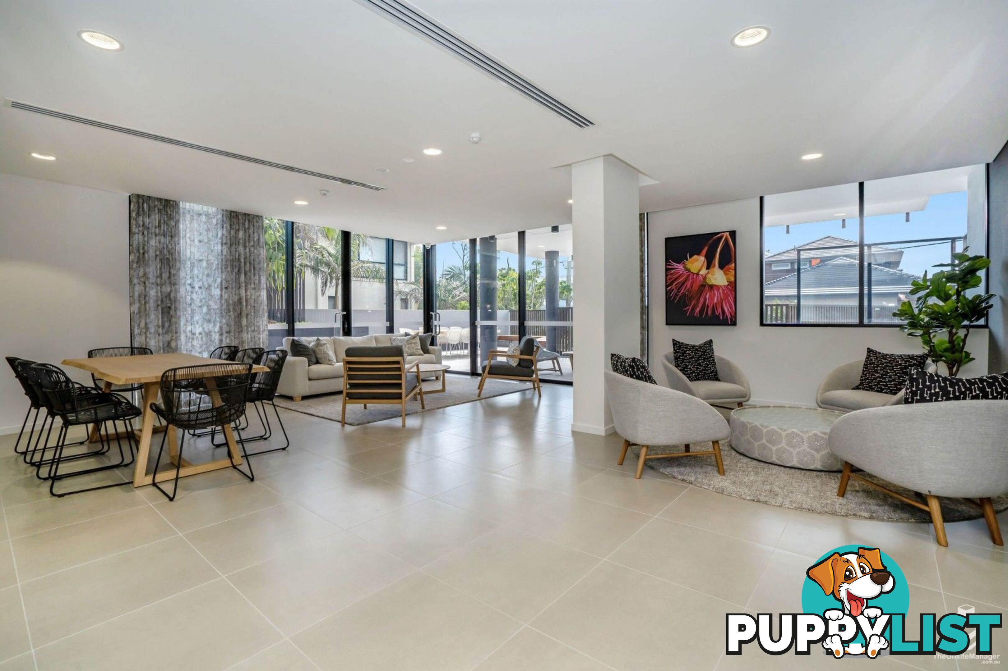 ID:21156948 60 Jefferson Lane Palm Beach QLD 4221