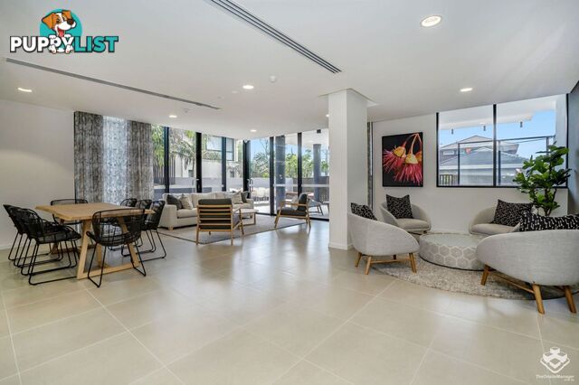 ID:21156948 60 Jefferson Lane Palm Beach QLD 4221