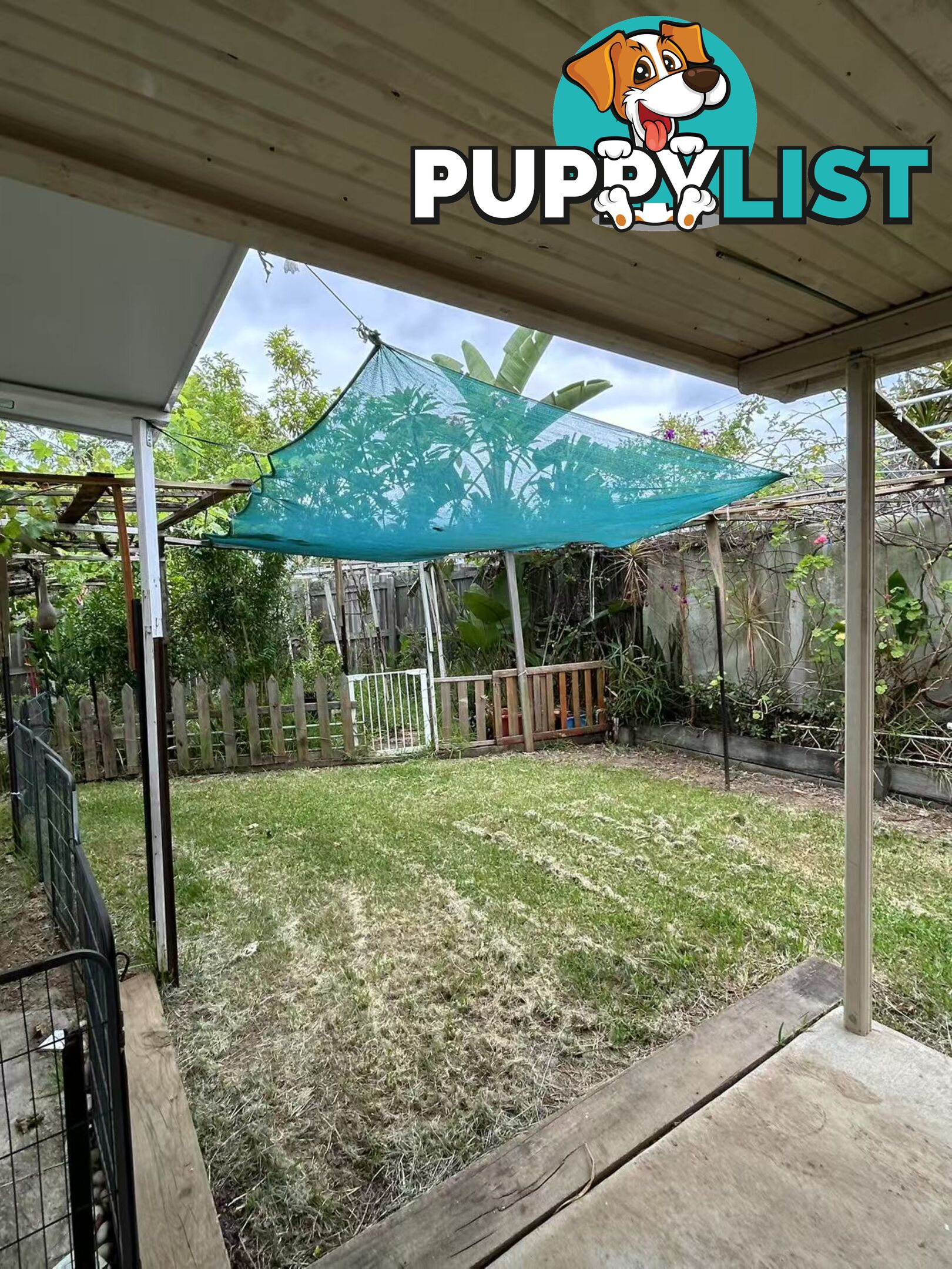 U53/12 Dasheng Street Doolandella QLD 4077