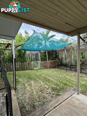 U53/12 Dasheng Street Doolandella QLD 4077