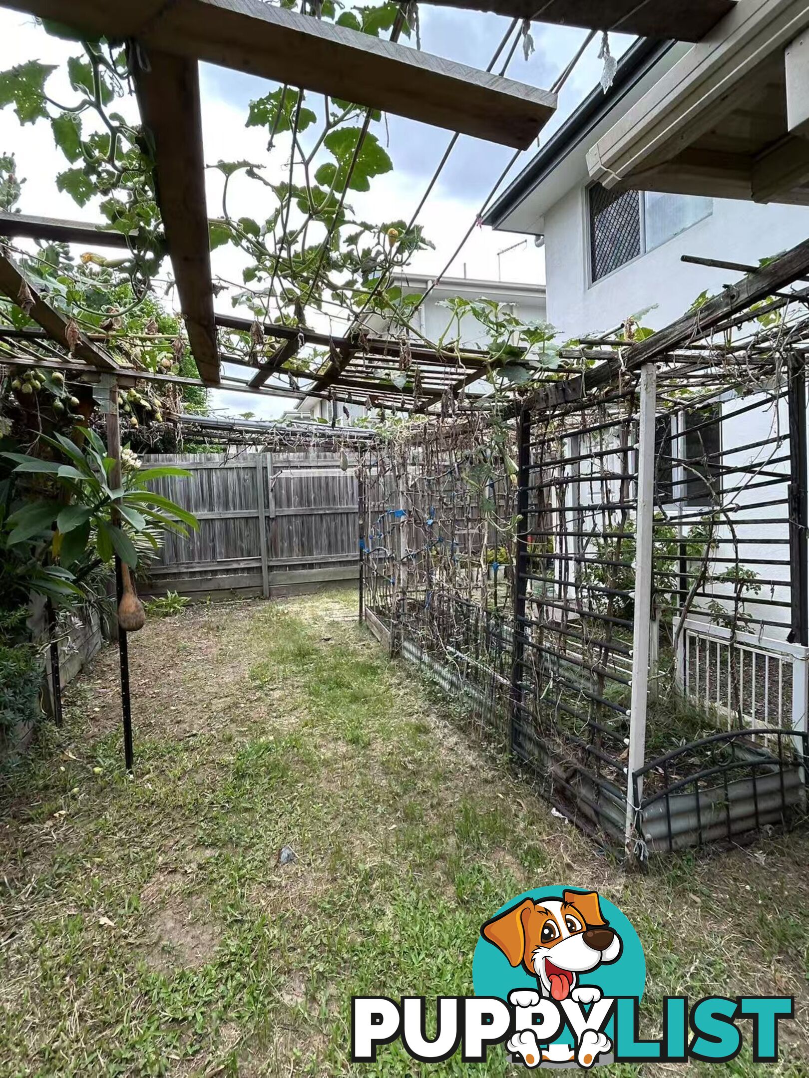 U53/12 Dasheng Street Doolandella QLD 4077