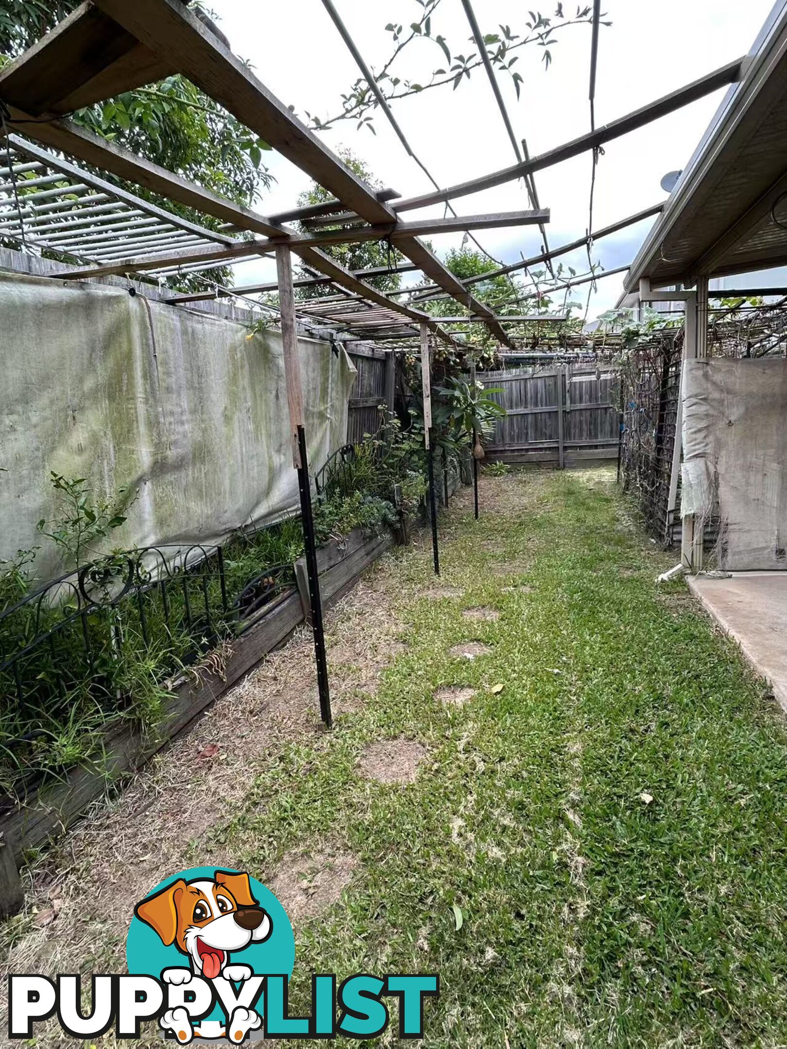 U53/12 Dasheng Street Doolandella QLD 4077