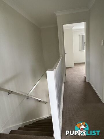U53/12 Dasheng Street Doolandella QLD 4077