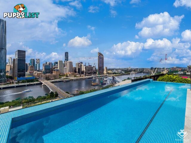 ID:21150458 77 Grey Street South Brisbane QLD 4101