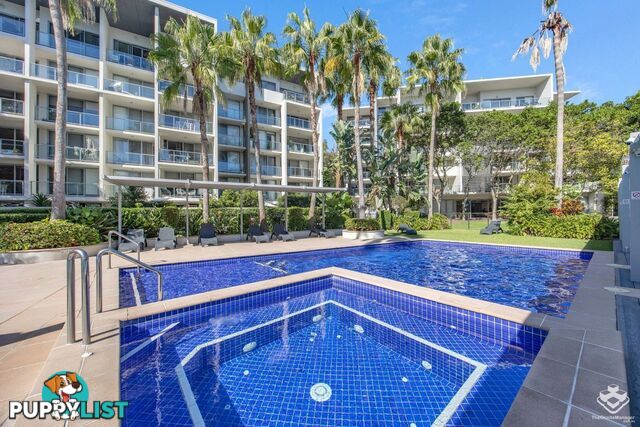 1006/154 Musgrave Avenue Southport QLD 4215