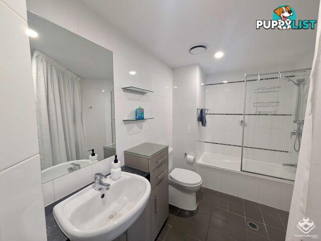 ID:21157429 42 Newstead Terrace Newstead QLD 4006
