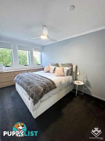 ID:21157429 42 Newstead Terrace Newstead QLD 4006