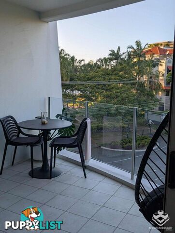 ID:21157429 42 Newstead Terrace Newstead QLD 4006