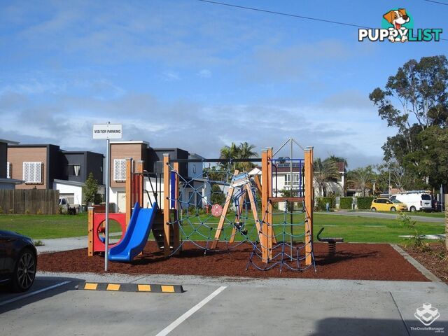 ID:21153126 39 Symons Road Sunnybank Hills QLD 4109