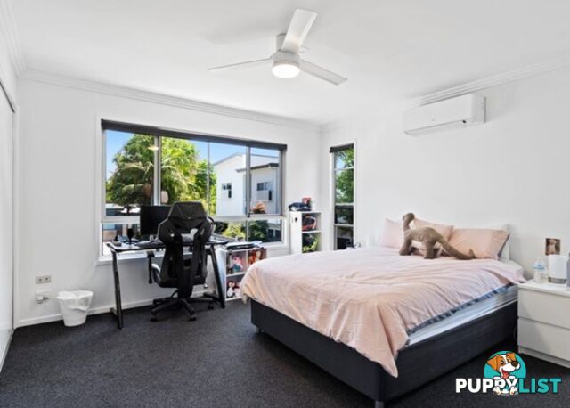 ID:21156800 131 Falconer Street Southport QLD 4215