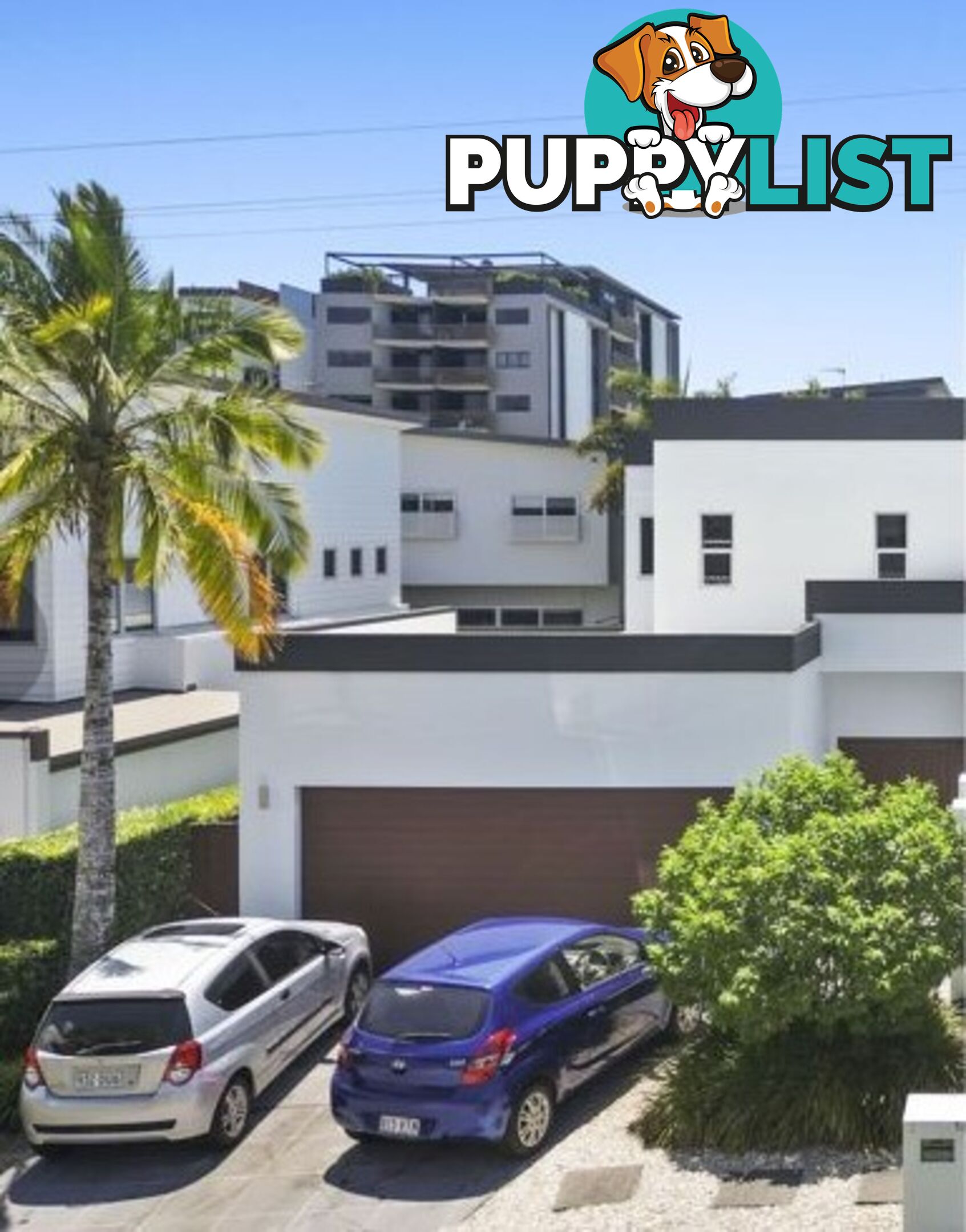 ID:21156800 131 Falconer Street Southport QLD 4215