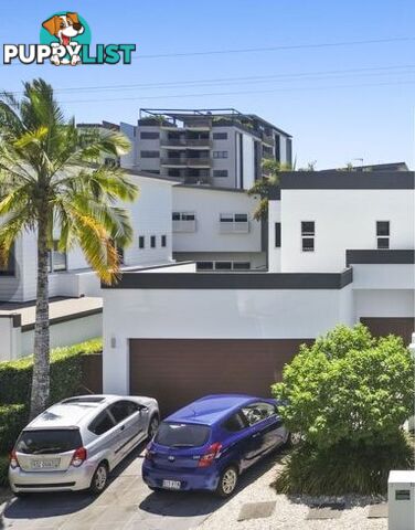 ID:21156800 131 Falconer Street Southport QLD 4215