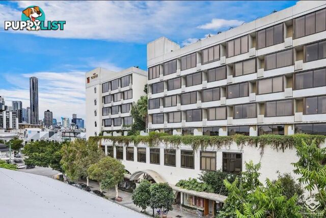 36/9 Doggett Street Fortitude Valley QLD 4006