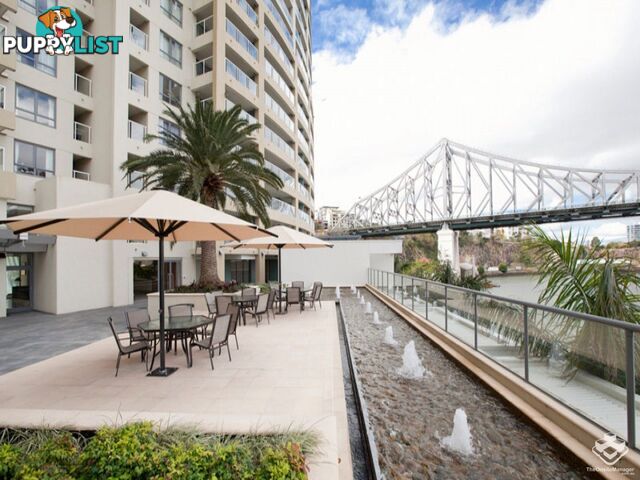 ID:21153567 82 Boundary Street Brisbane City QLD 4000