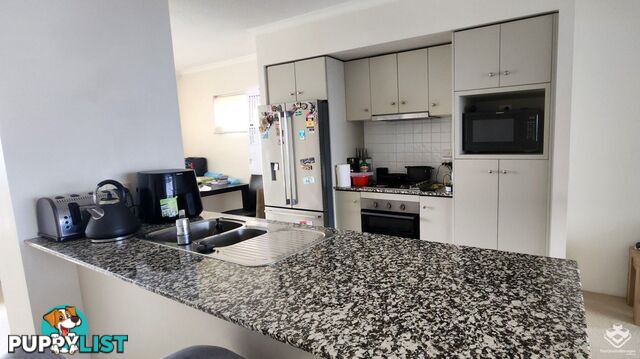 ID:21153567 82 Boundary Street Brisbane City QLD 4000