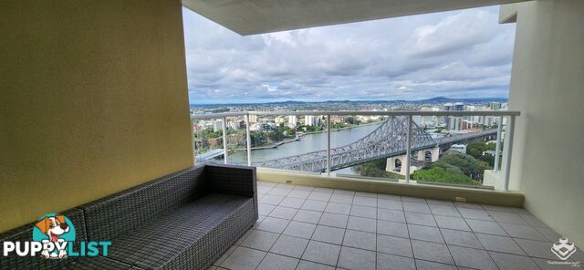 ID:21153567 82 Boundary Street Brisbane City QLD 4000