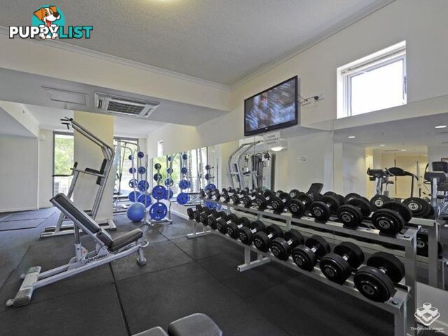 ID:21153567 82 Boundary Street Brisbane City QLD 4000