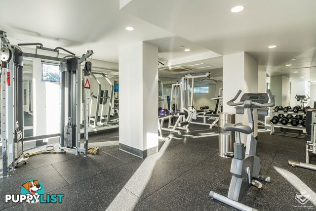 ID:21153567 82 Boundary Street Brisbane City QLD 4000