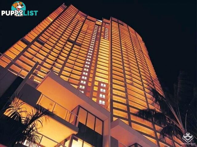 ID:21153567 82 Boundary Street Brisbane City QLD 4000