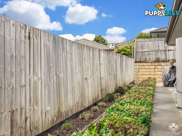 46 Cairnlea Drive Pimpama QLD 4209