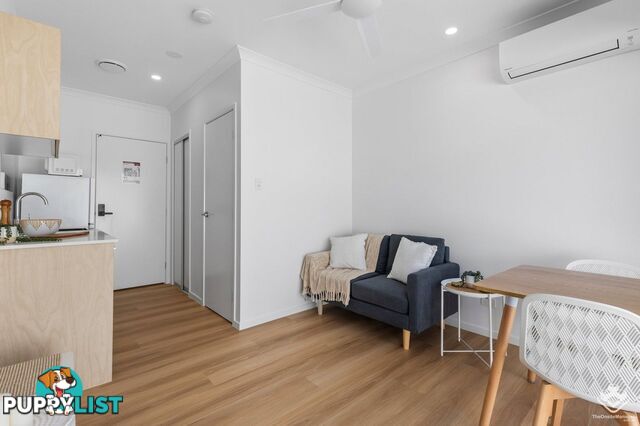 Urangan QLD 4655