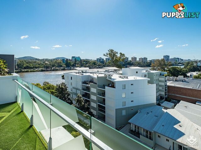 ID:21156719 15 Duncan Street West End QLD 4101