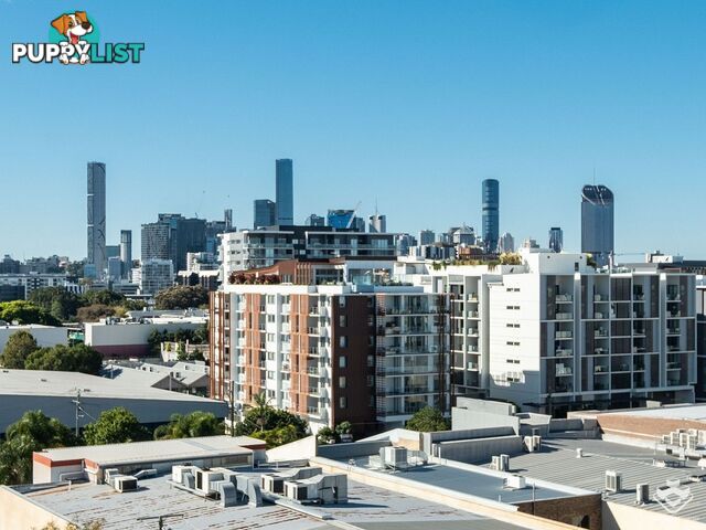 ID:21156719 15 Duncan Street West End QLD 4101
