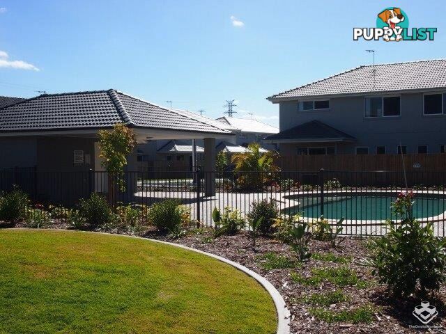 Griffin QLD 4503