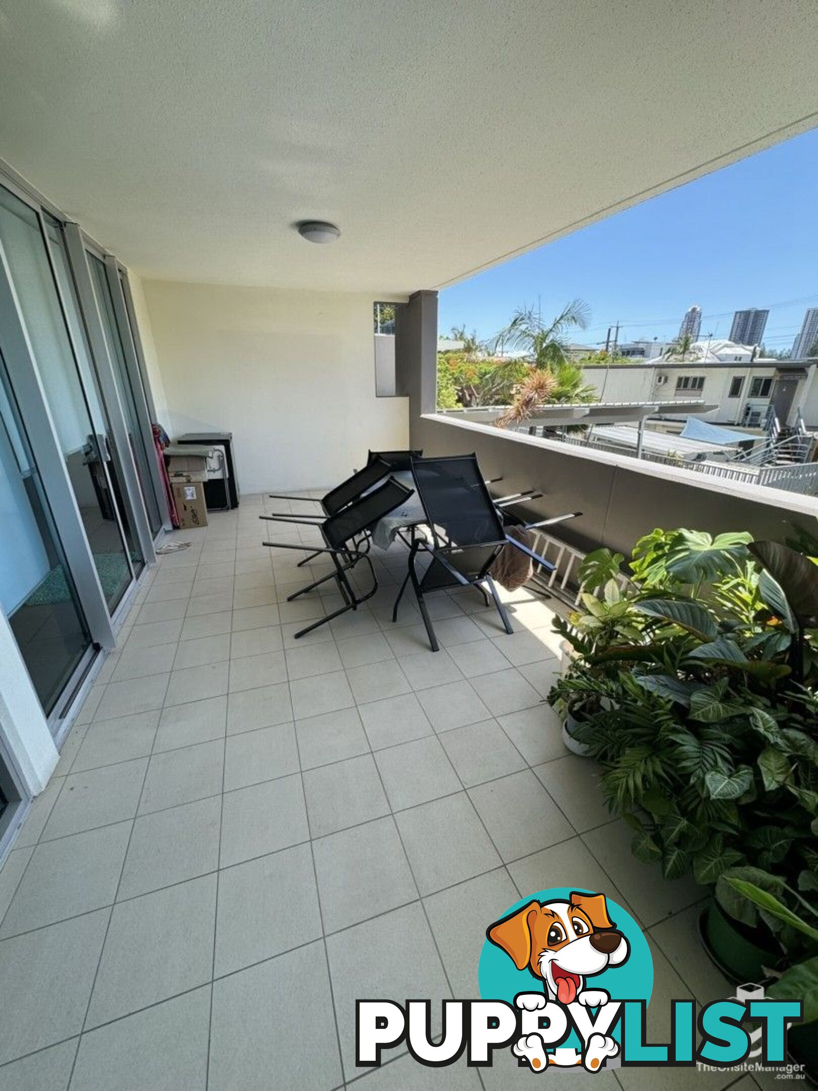 ID:21140658/53 Darrambal Street Chevron Island QLD 4217