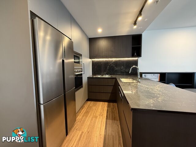 ID:21156714 14 Trafalgar Street Woolloongabba QLD 4102