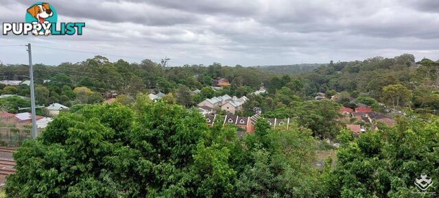 ID:21149863 4-10 Pound Road Hornsby NSW 2077
